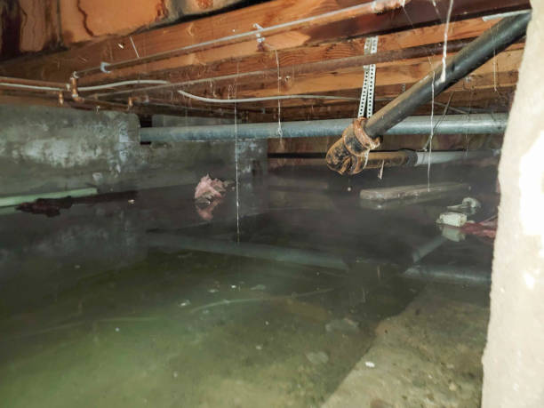 Water damage restoration experts in Woodcreek, TX