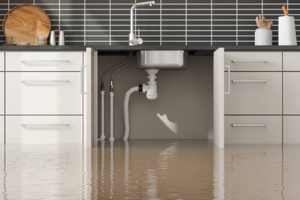 Best Local water damage restoration  in Woodcreek, TX