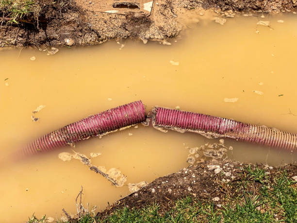 Best Water damage restoration near me  in Woodcreek, TX