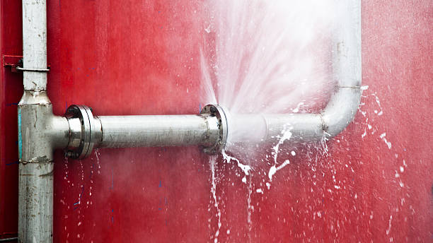 Best Local water damage restoration  in Woodcreek, TX