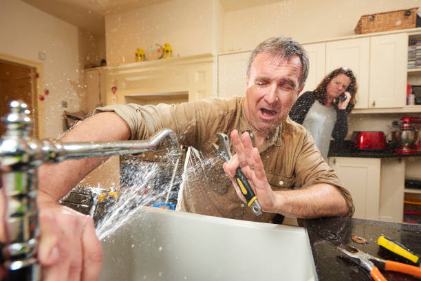 Best Mold removal after water damage  in Woodcreek, TX
